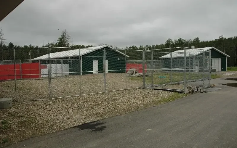 Anderson's Dog Kennels