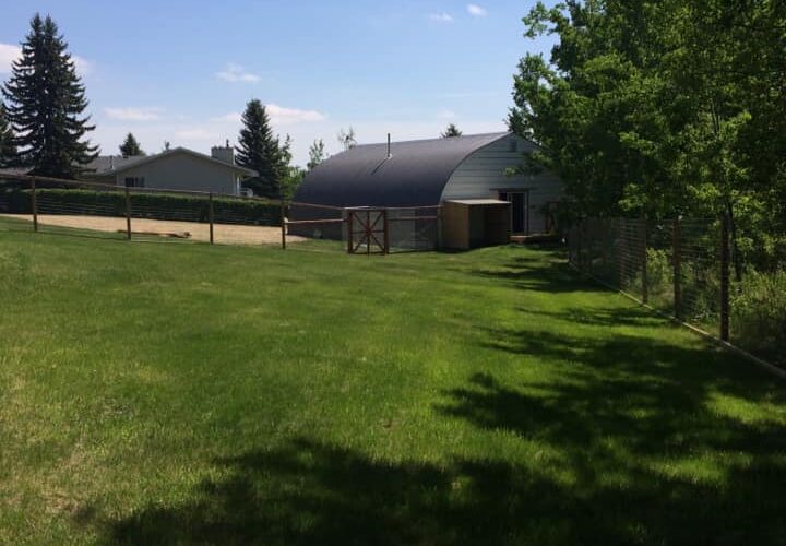 Angel Lane Pet Boarding