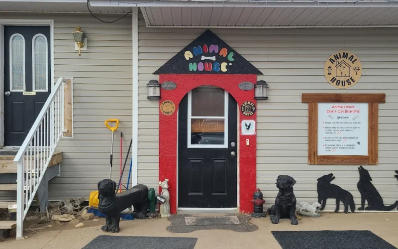 Animal House Dog and Cat Boarding
