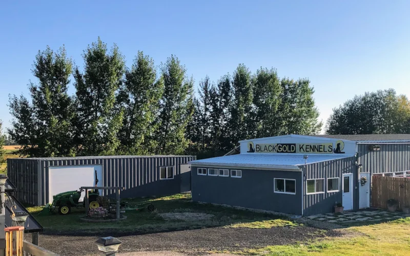 Black Gold Kennels
