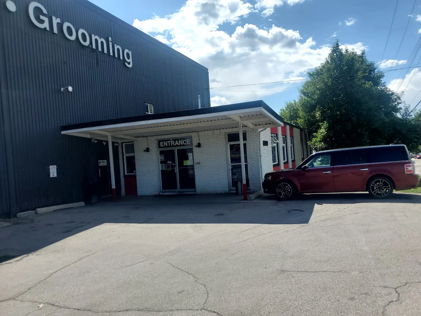 BowDog Canine Specialists - Calgary