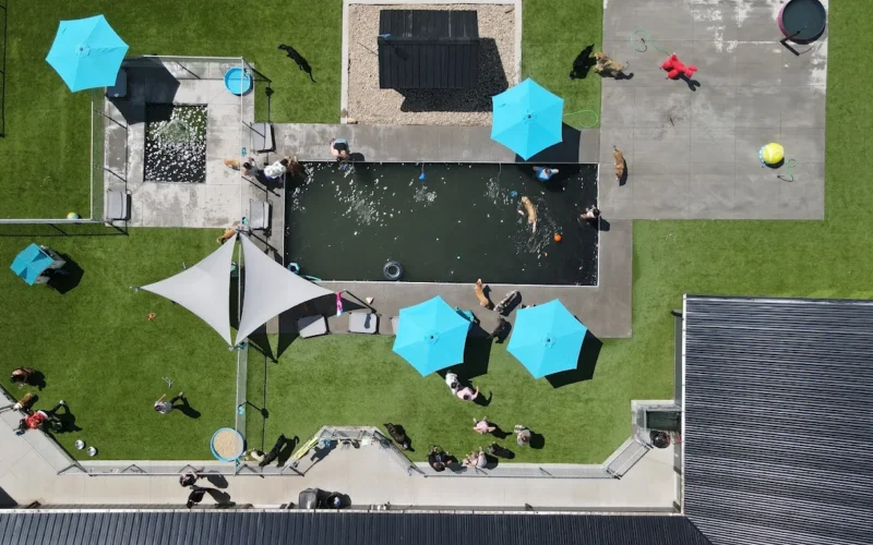 Companion Inn Pet Resort