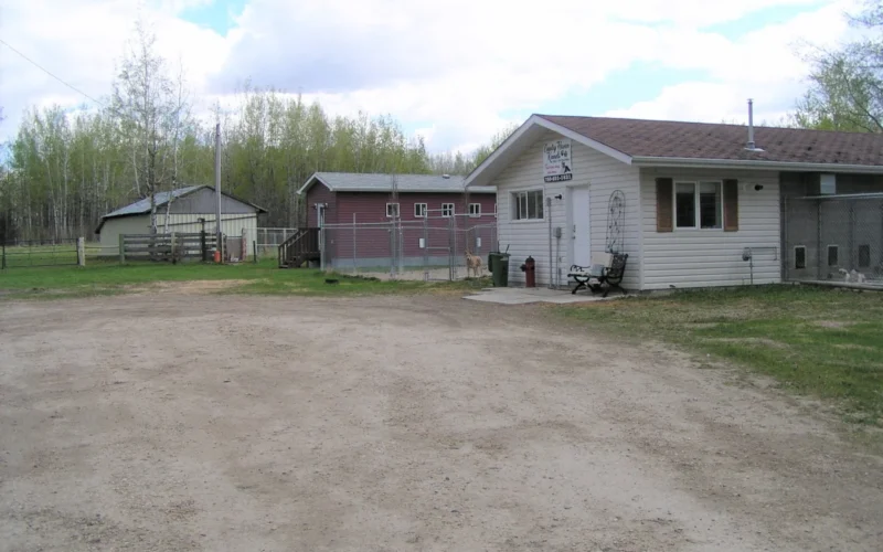 Country Haven Kennels