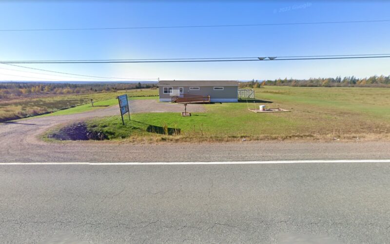 Courtney's Precious Pets & Pet Resort