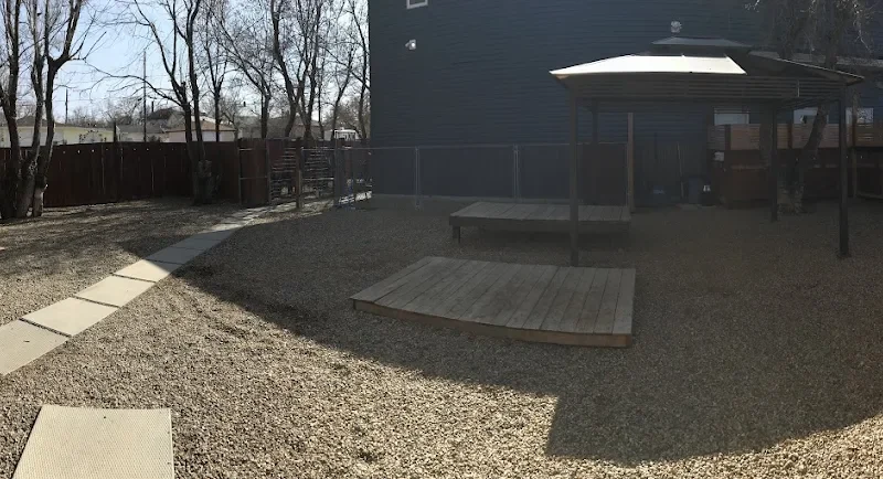 Everydog Dog Services