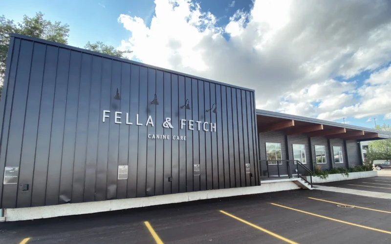 Fella & Fetch Canine Care
