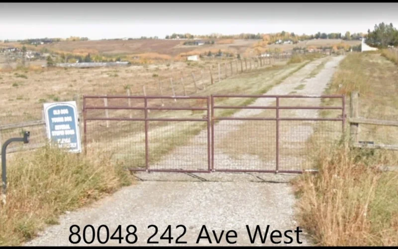 Holiday Pet Boarding