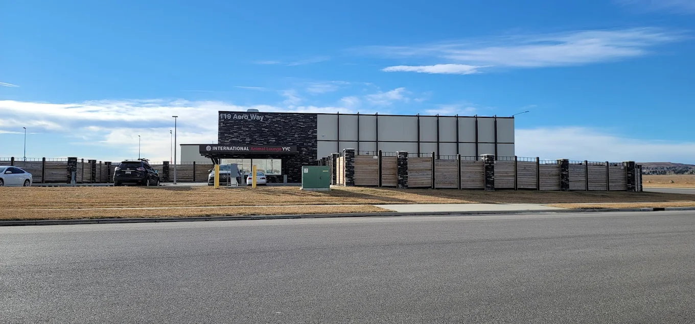 International Animal Lounge YYC