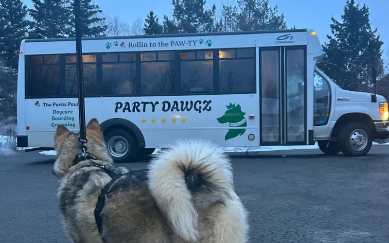 Party Dawgz (Active Daycare+Boarding & Grooming)