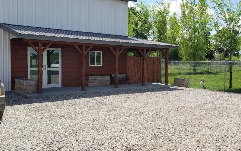 Pets Unleashed - Lethbridge