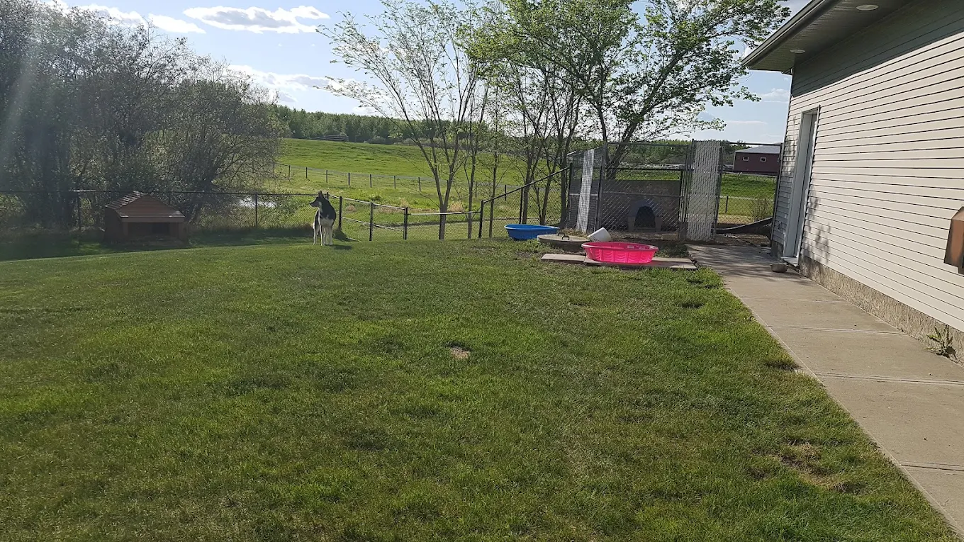 Second Haven Pet Boarding