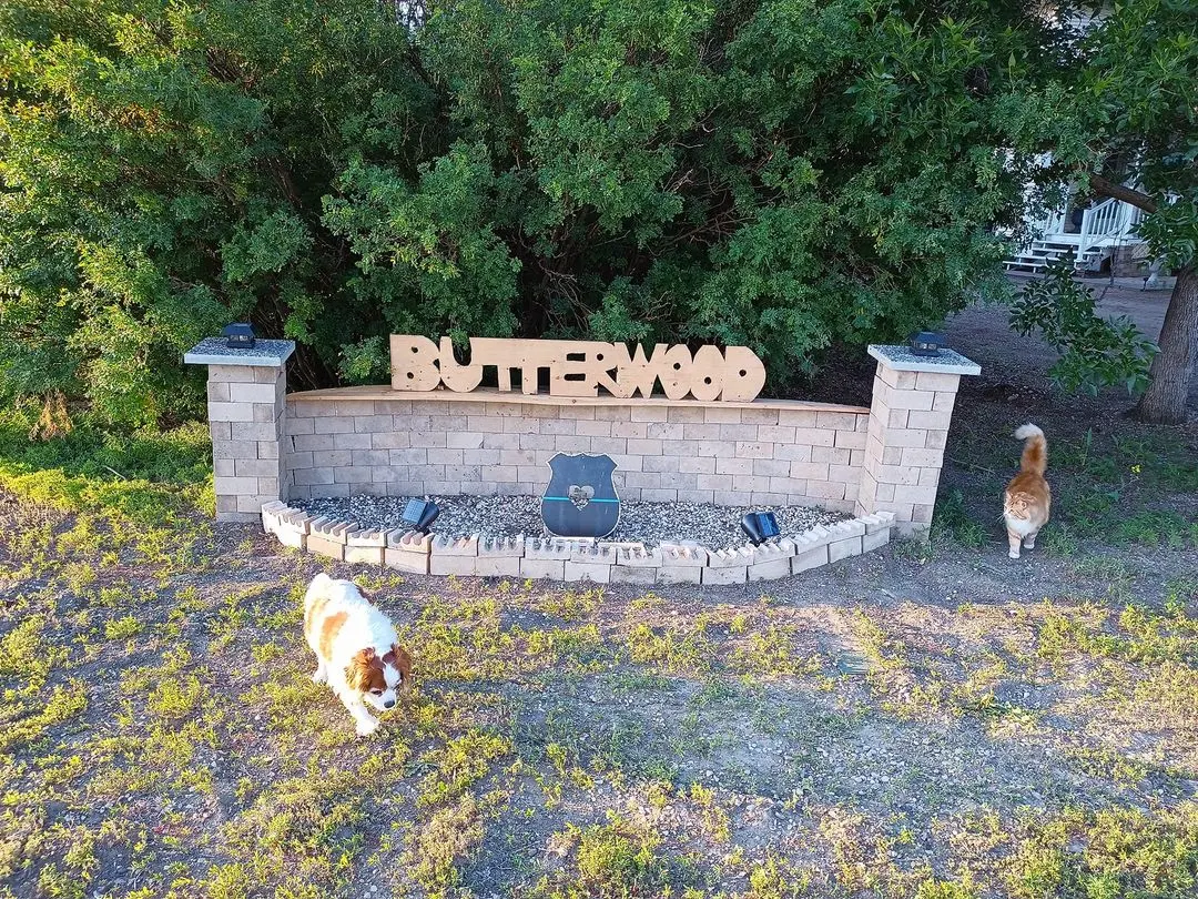 Butterwood - Dog Boarding Regina Butterwood - Dog Boarding Regina