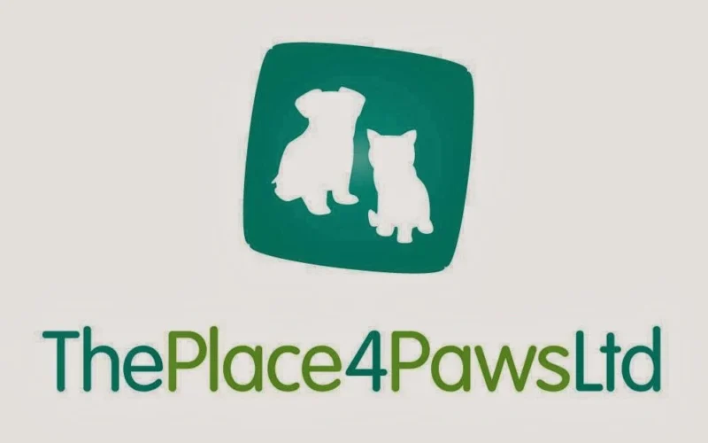 The Place 4 Paws