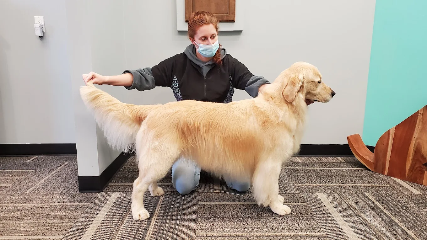 Unique Edge Grooming & Boarding LTD