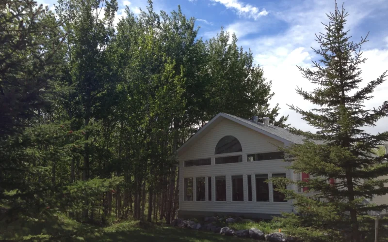 Bearspaw Cat Boarding - Cochrane