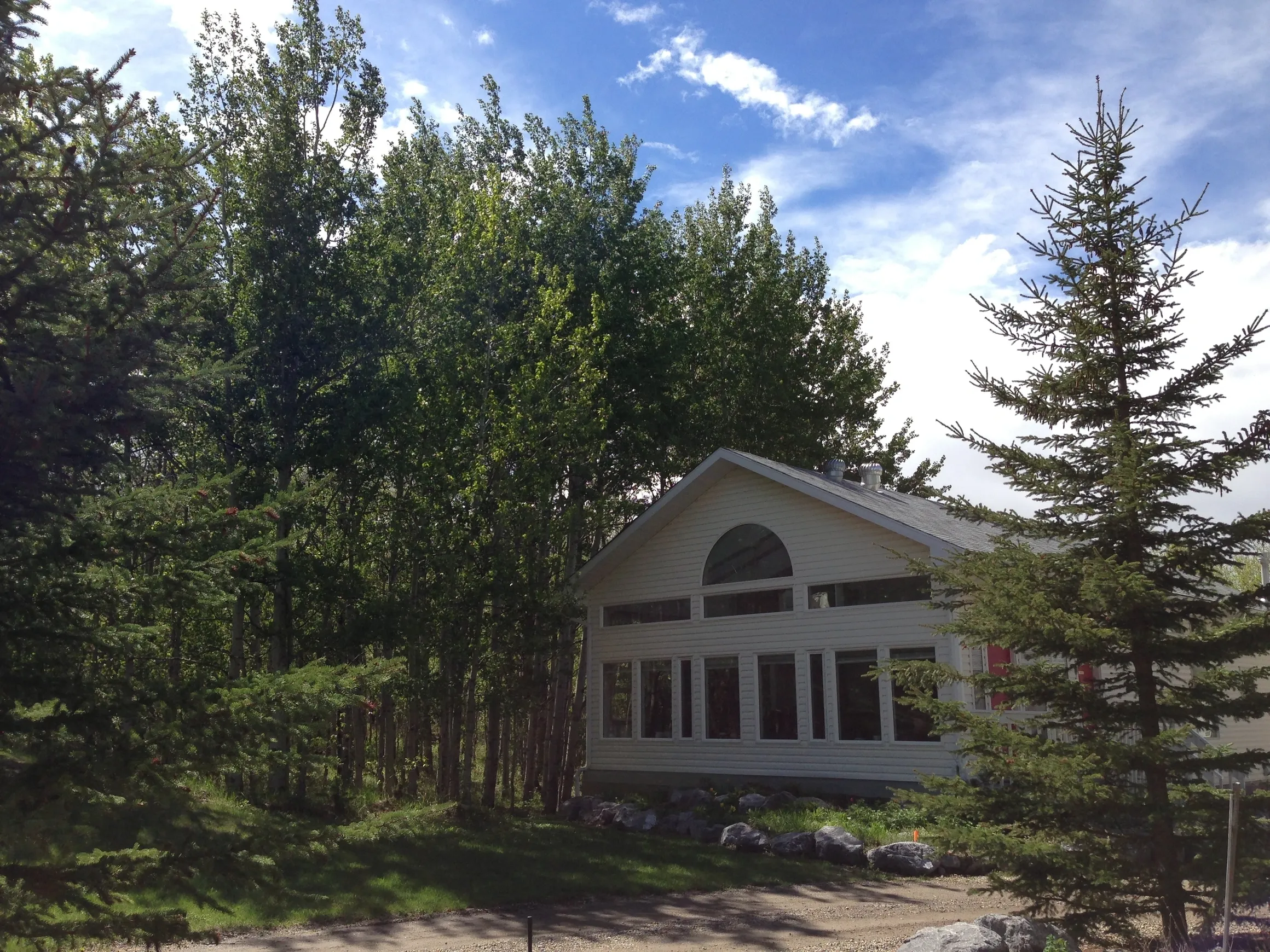 Bearspaw Cat Boarding - Cochrane