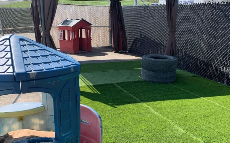 Wag Dog Daycare & Boarding Centre