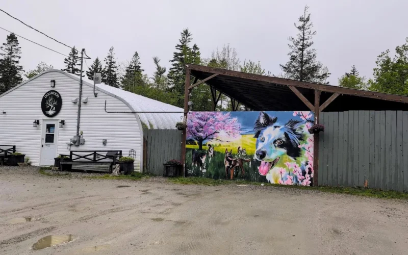 Dogwood Lodge Pet Retreat Inc.