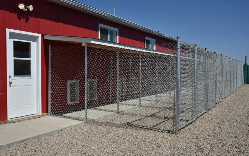 Lucky Doggy Pet Resort