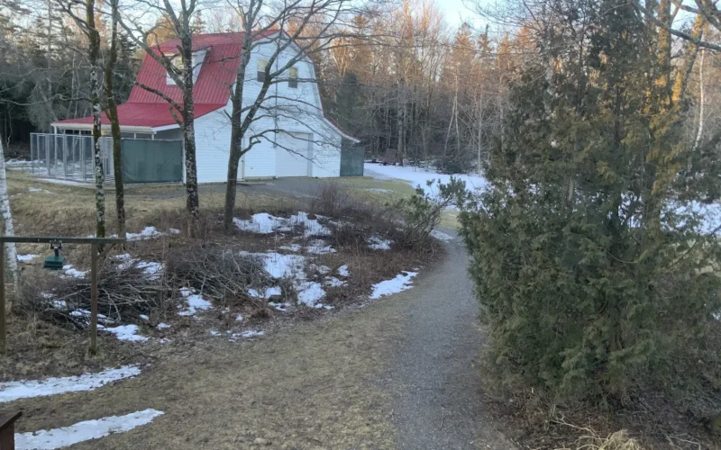 Gaspereau Mountain Kennels